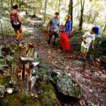 hikers on trail at Mason-Dixon Park
